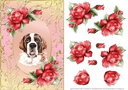 St Bernard Dog And Roses Card Front