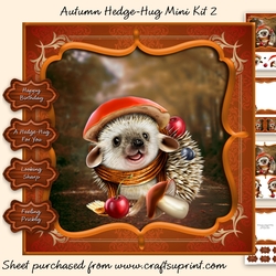 Autumn Hedge-Hugs Mini Kit 2