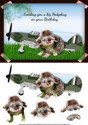 Hedgehog Pilot Photograph Card Front