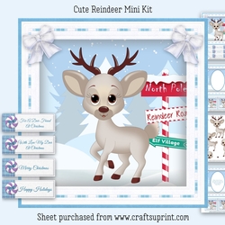 Cute Reindeer Mini Kit