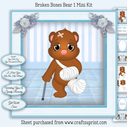 Broken Bones Bear Mini Kit 1