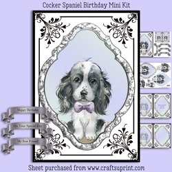 Cocker Spaniel Birthday Mini Kit
