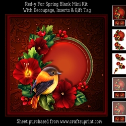 Red-Y For Spring Blank Mini Kit