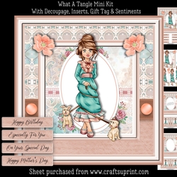 What A Tangle Mini Kit
