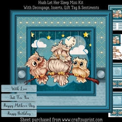 Hush Let Her Sleep Mini Kit