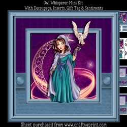Owl Whisperer Mini Kit