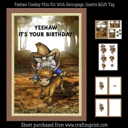 Yeehaw Cowboy Mini Kit
