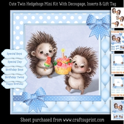 Cute Twin Boy Hedgehogs Mini Kit