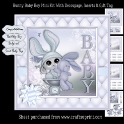 Bunny Baby Boy Mini Kit