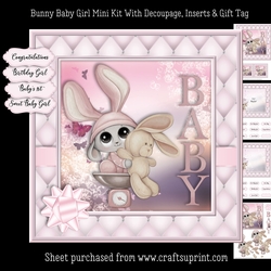 Bunny Baby Girl Mini Kit