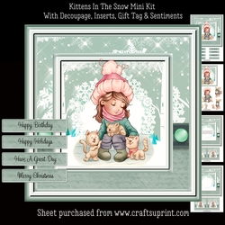Kittens In The Snow (Multi-Use) Mini Kit
