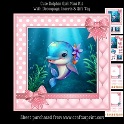 Cute Dolphin Girl Mini Kit