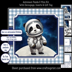 Astronaut Panda 2 Mini Kit