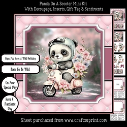 Panda On A Scooter Mini Kit