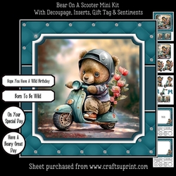 Bear On A Scooter Mini Kit
