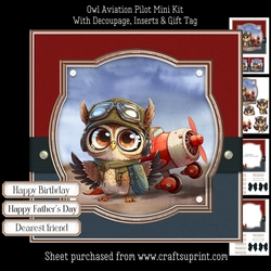 Owl Aviation Pilot 1 Mini Kit