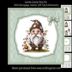 Garden Gnome Mini Kit