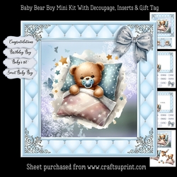 Baby Bear Boy Mini Kit