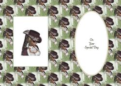 Lady in a Brown Hat Insert