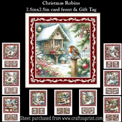 Robins Mini Kit & Gift Tag (Christmas or Winter Birthday)