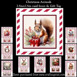 Christmas Animals Mini Kit With Gift Tag (Christmas Or Winter Birthday)