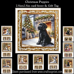 Christmas Puppies Mini Kit With Gift Tags