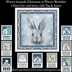 Winter Animals Mini Kit (Winter Birthday or Christmas)