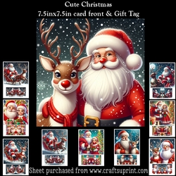 Cute Christmas Mini Kit With Gift Tag
