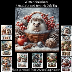 Winter Hedgehogs Mini Kit (Christmas Or Winter Birthday)