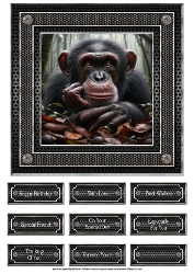 Chimpanzee Card 7x7 Topper