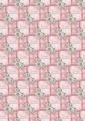 White Poinsettia Background