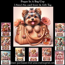 Puppy In A Bag/Cup Mini Kit