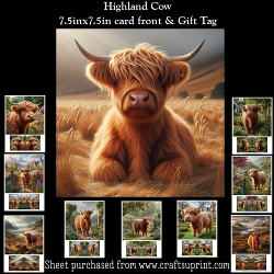 Highland Cow Mini Kit