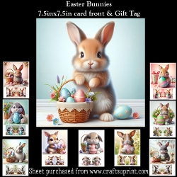 Easter Bunnies Mini Kit