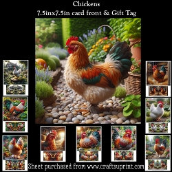Chickens Mini Kit