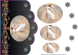 Beautiful Swan Scalloped Card with Pyramage
