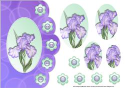 Iris Scalloped Edge Card with Pyramage