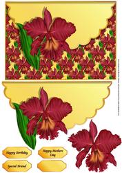Red and Orange Orchid Scalloped Edge Envelope Card