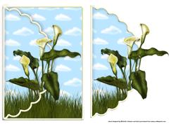 Beautiful Calla Lilies Scalloped Edge Envelope Card