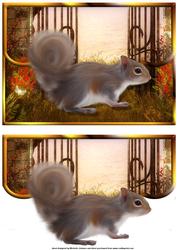 Squirrel Scalloped Edge Envelope Card