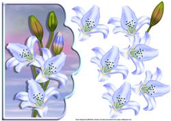 Blue Lilies Scallope Edge Curve Card