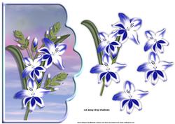 Blue Gladioli Scallope Edge Curve Card