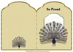 Proud as a Peacock Scalloped Top Quick Card