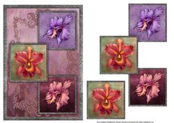 Orchids Three Square Quick Card