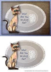 What Are You Wishing For? Card Front