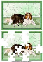 Lassie (green) Jigsaw Puzzle Quick Card Front