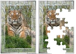 Tiger Jigsaw Puzzle Quick Card Front