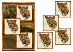 Jaguar Three Square Quick Card