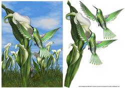 Hummingbird and Calla Lily Card Front