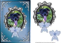 Staffordshire Bull Terrier Card Front